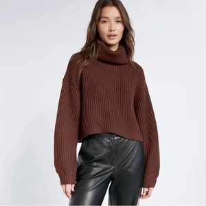 Aritzia Babaton Sz XS Guell Brown Merino Wool Short Relaxed Turtleneck Sweater